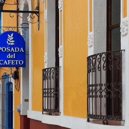 Posada Del Cafeto Xalapa Eksteriør bilde