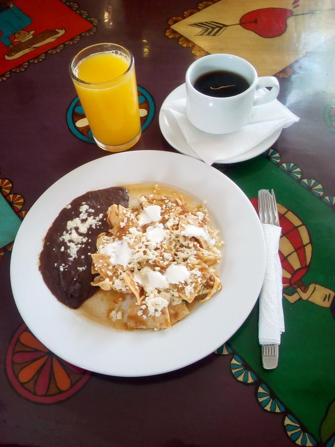 Posada Del Cafeto Xalapa Eksteriør bilde